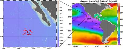 Imprint of Trace Dissolved Oxygen on Prokaryoplankton Community Structure in an Oxygen Minimum Zone